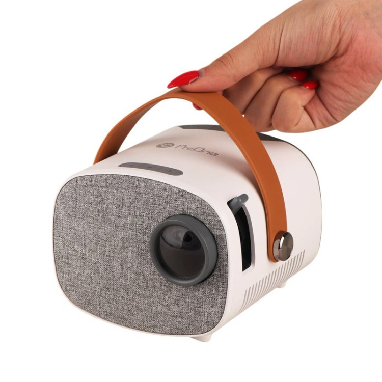 ویدئو پروژکتور پرتابل پرووان مدل PGV300